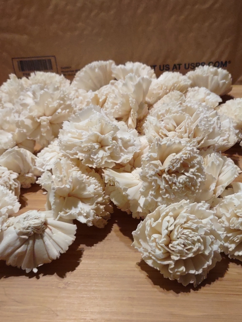 Carnations Cream Sola Wood Flowers 32 Flowers
